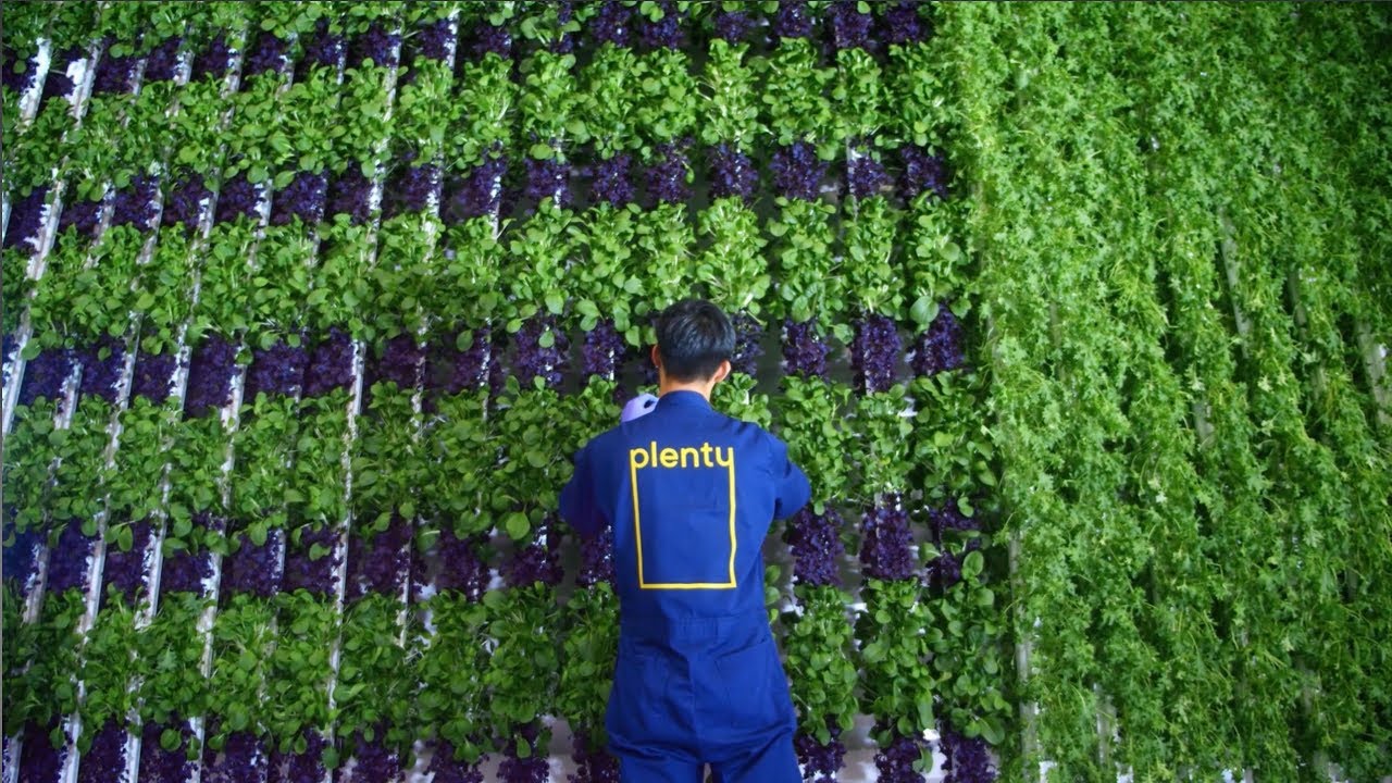 Plenty, a San Francisco-based vertical farming startup