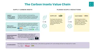 The Importance of Insets: where mitigation and offsetting mix