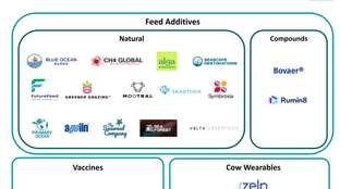 Ruminating on methane emissions