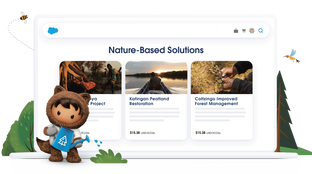 Salesforcing voluntary carbon credits #119