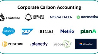 Accounting is the new green #34