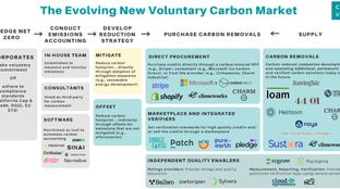 Giving (carbon) credit where it’s due