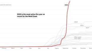Lessons from the wildfires #26