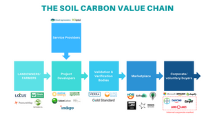 The dirt on soil carbon sequestration